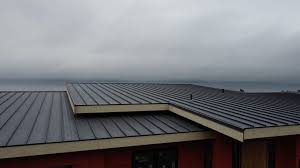 Best Rubber Roofing (EPDM, TPO)  in Postville, IA